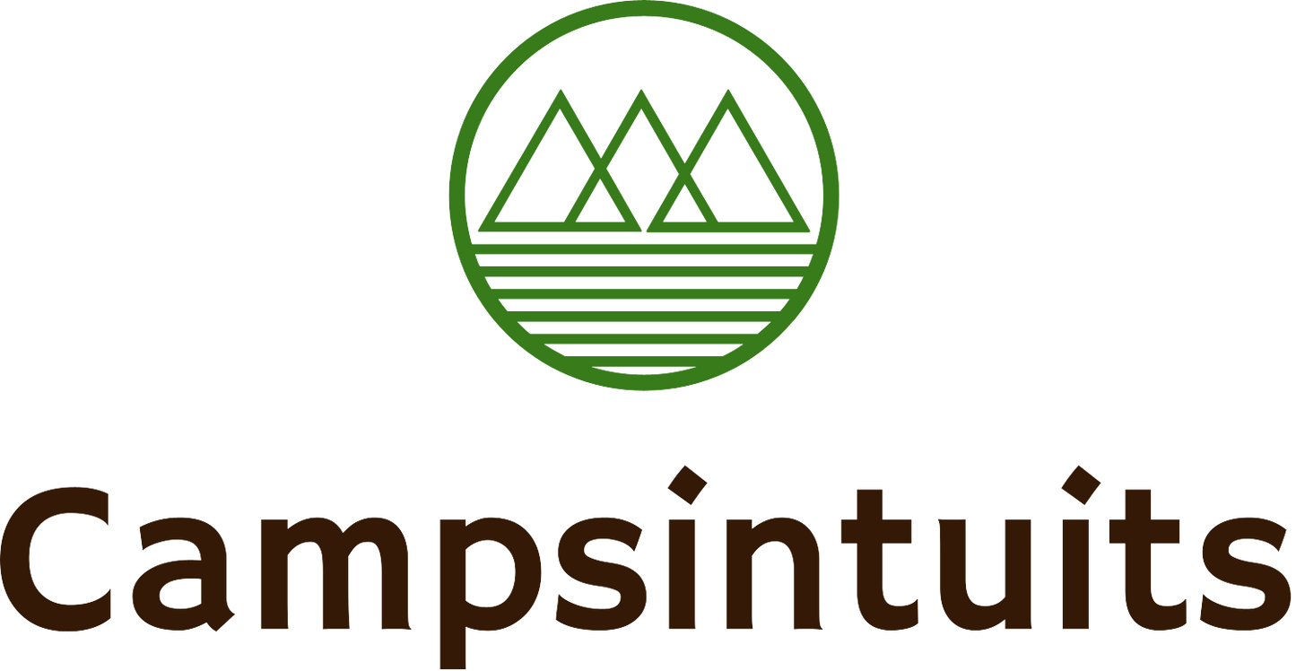 campsintuits.com